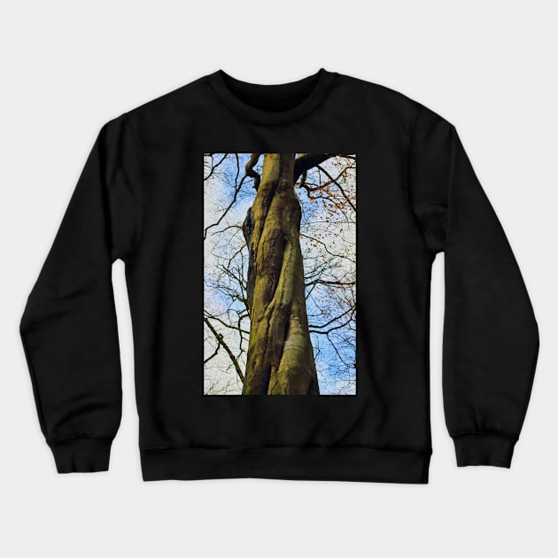 Twisted tree trunk Crewneck Sweatshirt by avrilharris